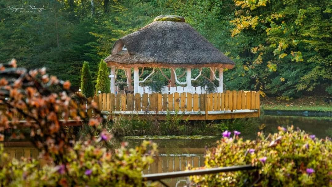 Kwatera prywatna Agromurena Gryfów Śląski