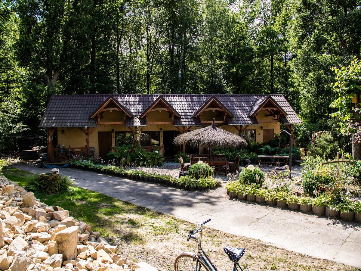 Ubytování v soukromí Agromurena Gryfów Śląski
